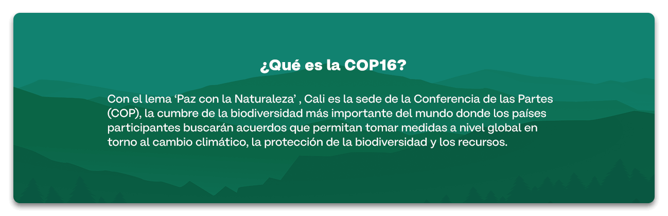 Evento Próximo