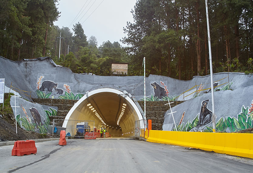 el-tunel-del-linea